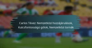 Carlos Tévez: Nemzetközi hozzájárulások, Kulcsfontosságú gólok, Nemzetközi tornák
