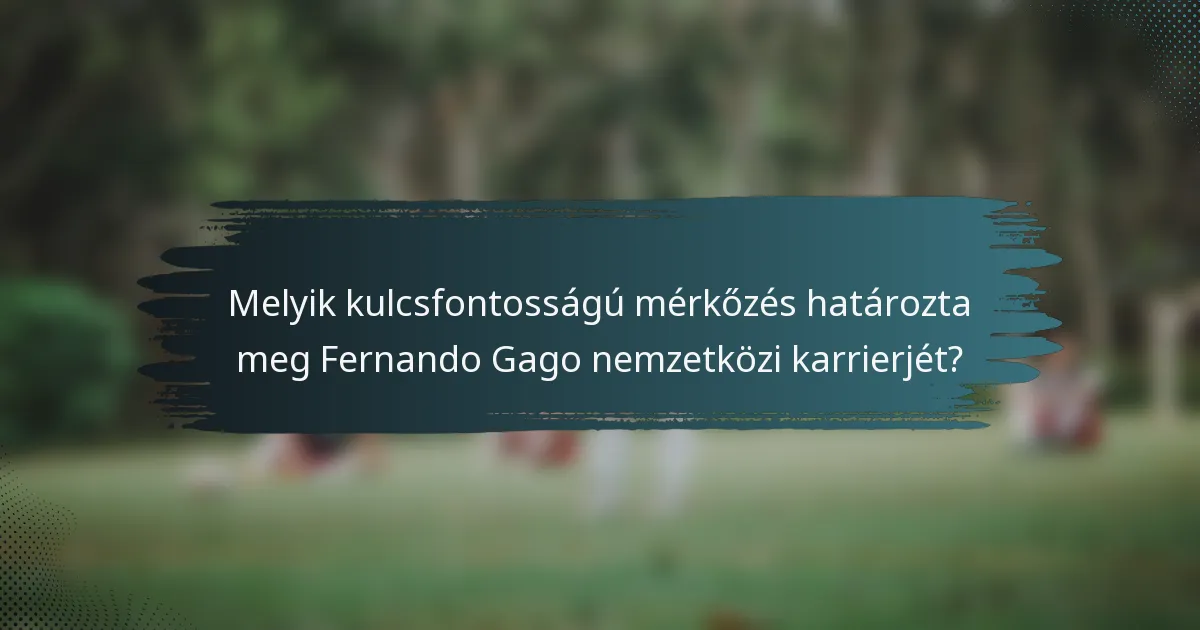 Melyik kulcsfontosságú mérkőzés határozta meg Fernando Gago nemzetközi karrierjét?